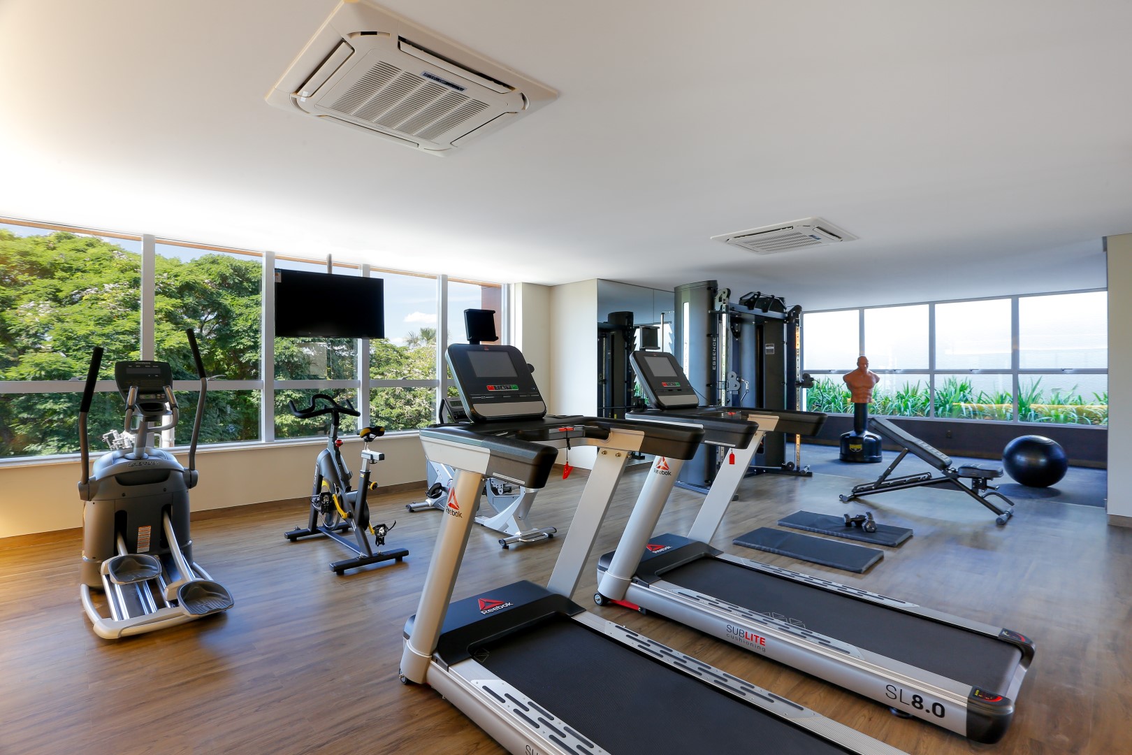 2019-05-13_TERRAL-Contemple - Academia (3) (Large)
